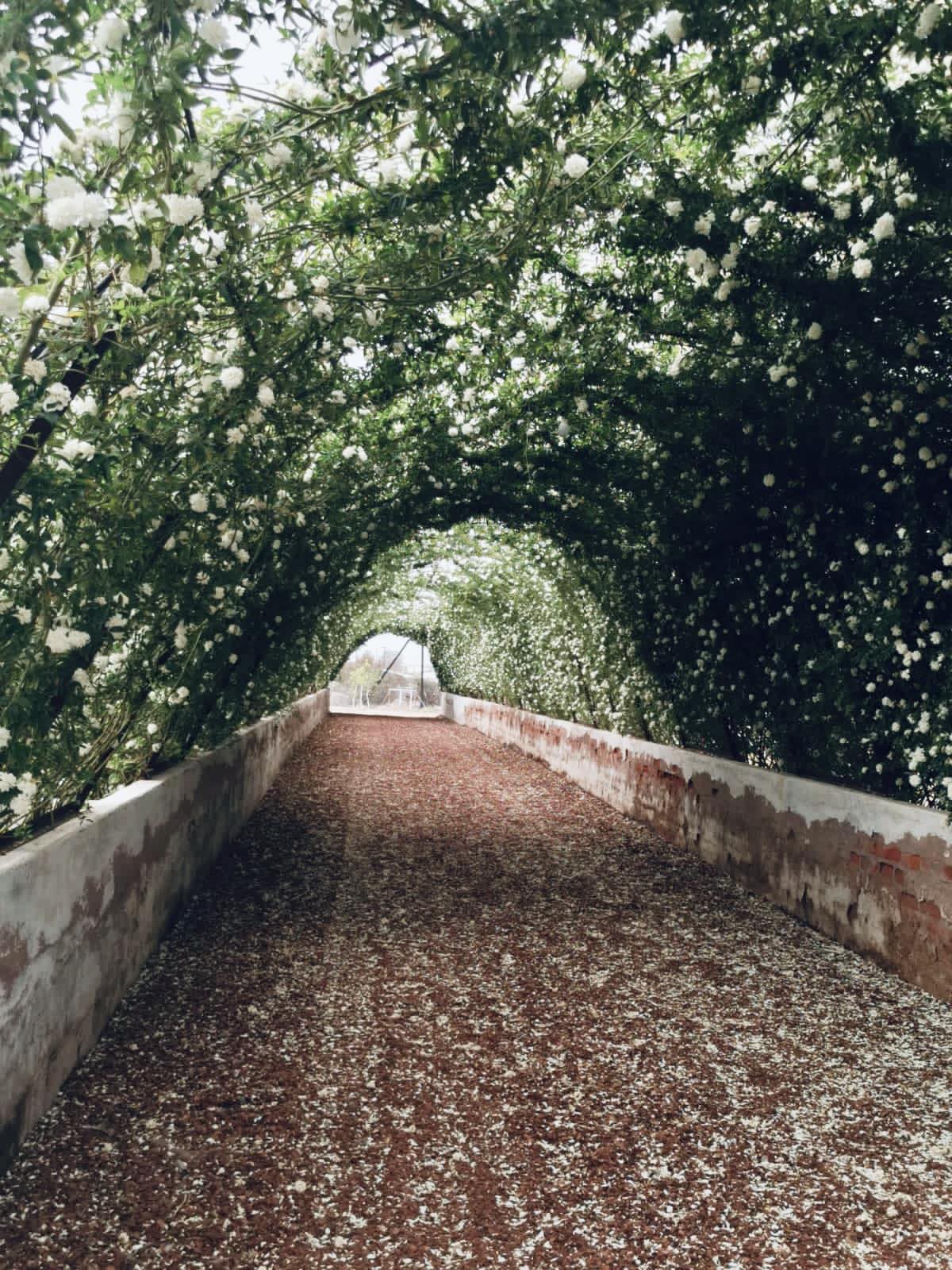 309653628_5380030552086970_3737669487515081075_n